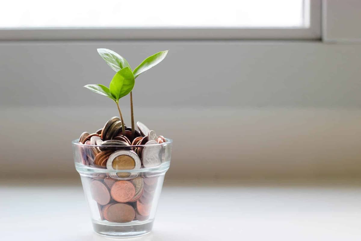 Professional Growth : Why It Pays To Be Intentional