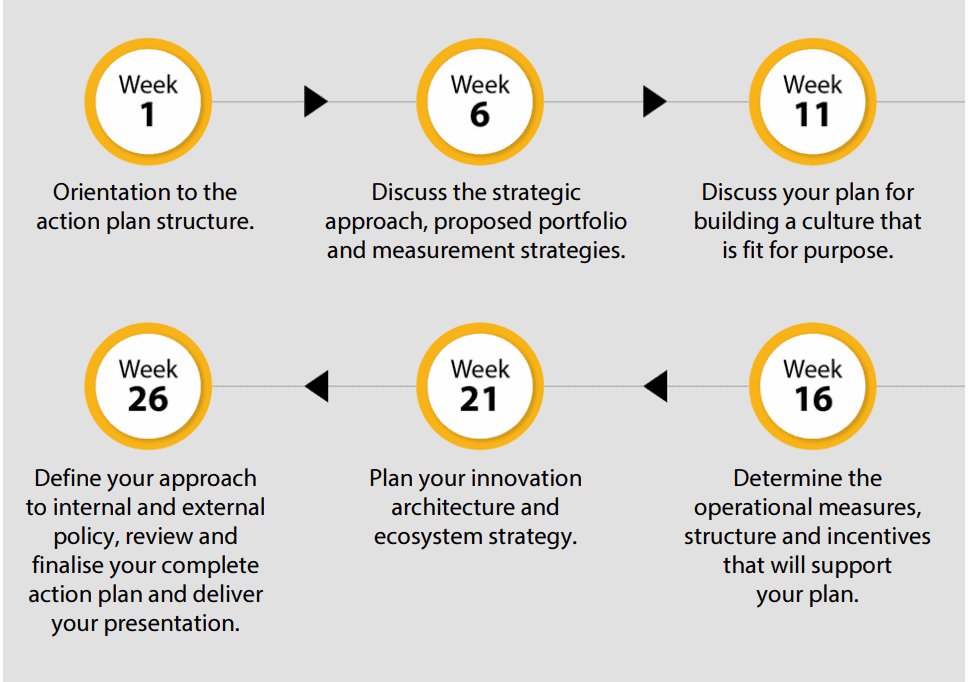 cambridge cto program action plan timeline - infographic presentation