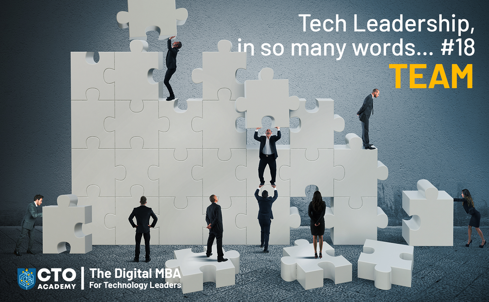 Tech Leadership in so Many Words…#18 Team