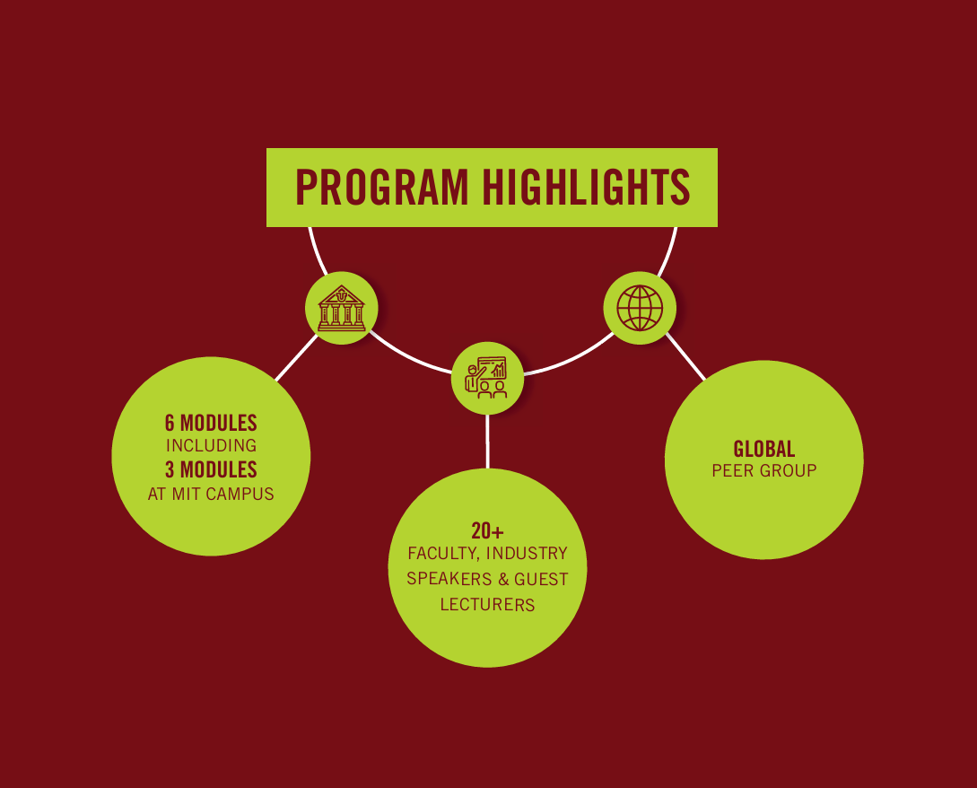 MIT Technology Leadership Program highlights - infographic presentation