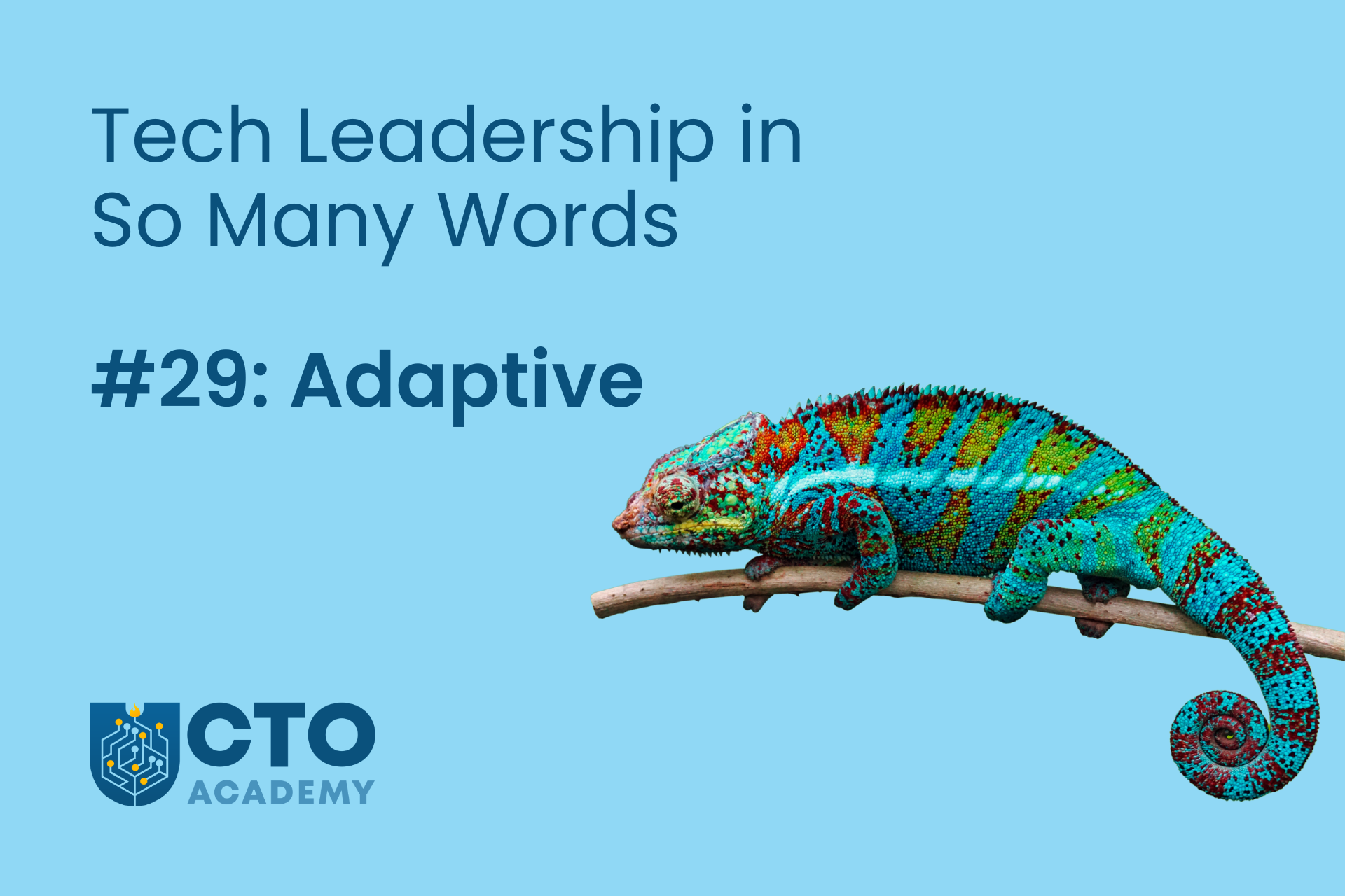 ISMW-29-Adaptive